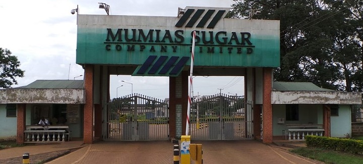  Mumias Sugar Reconnects to the Grid after Three Years of Darkness