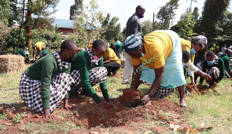 Kenyans Urged To Plant Trees To Mitigate Changing Climate