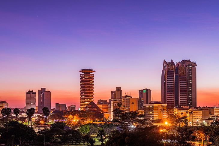 7 Investment Opportunities That Will Make You Millions In Kenya