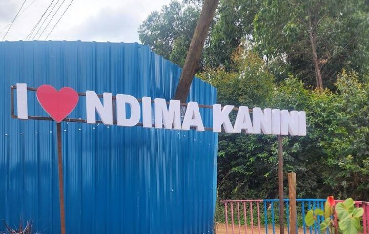 Ndima Kanini